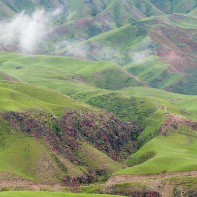 全力打好“三北”工程东部片区歼灭战 筑牢北疆绿色长城和生态安全屏障